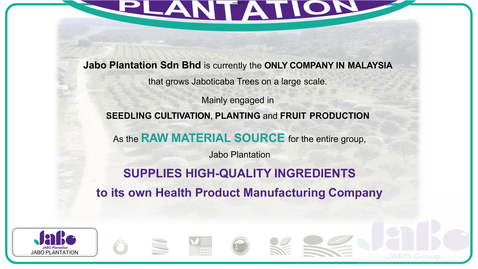 JABO Plantation operations overview